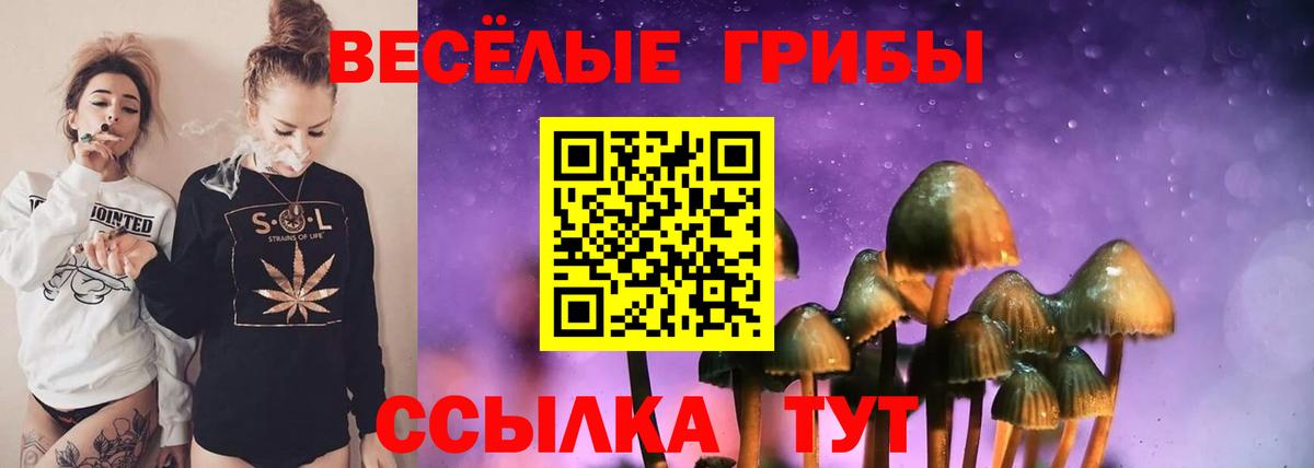 Псилоцибиновые грибы Magic Shrooms Свободный